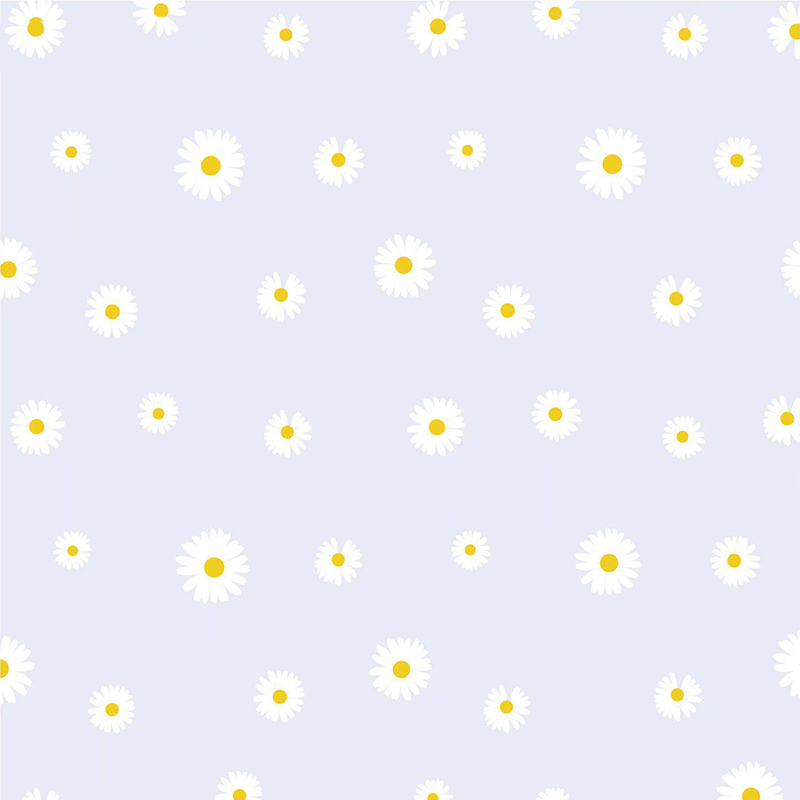 MYHC-XVIII Nova Parva Daisy Pearl Film Flower Wrapping Paper