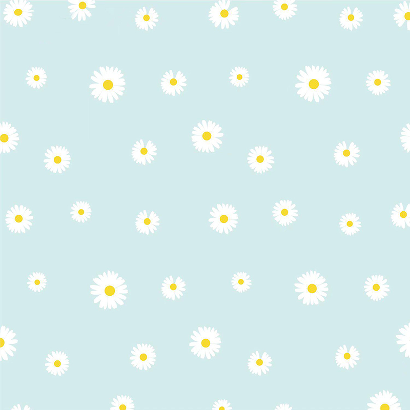 MYHC-XVIII Nova Parva Daisy Pearl Film Flower Wrapping Paper