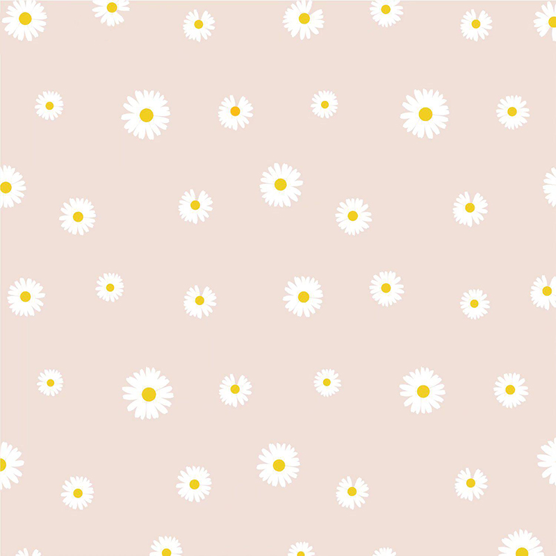 MYHC-XVIII Nova Parva Daisy Pearl Film Flower Wrapping Paper