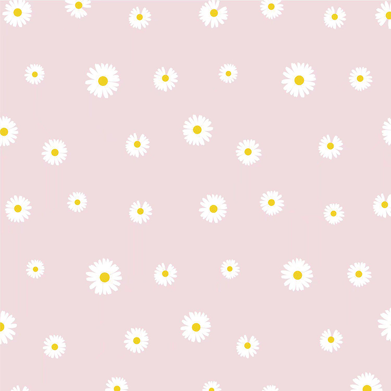 MYHC-XVIII Nova Parva Daisy Pearl Film Flower Wrapping Paper