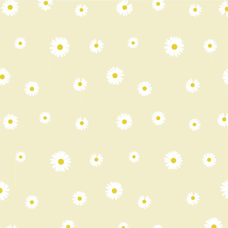 MYHC-XVIII Nova Parva Daisy Pearl Film Flower Wrapping Paper