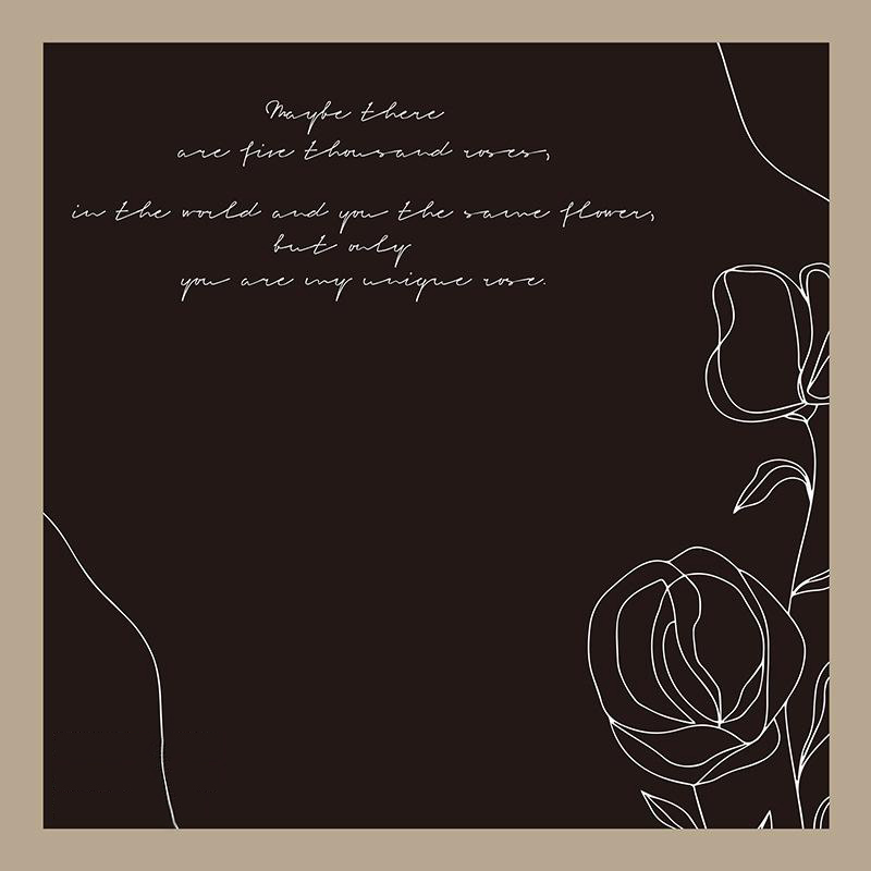 MYHC-42 Simple Style Contra Border Cotton Flower Wrapping Paper