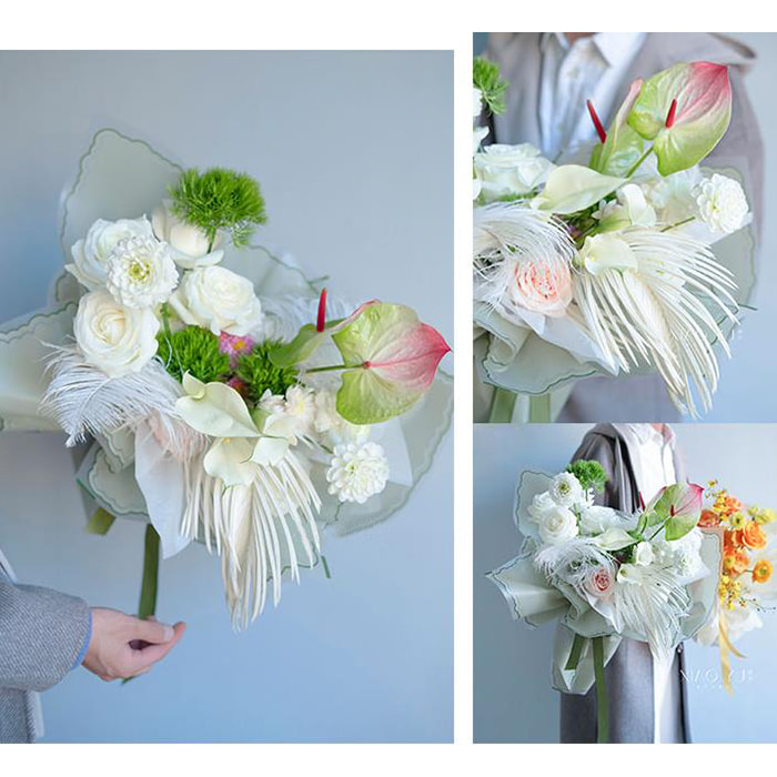 Petal gelata amet flos charta involvens