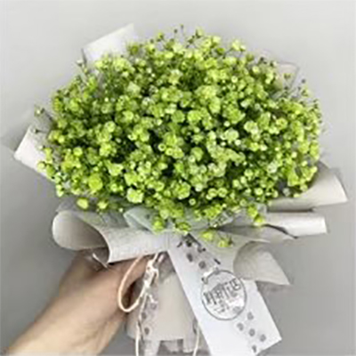 Simplex Textured Bouquet Wrapping Paper